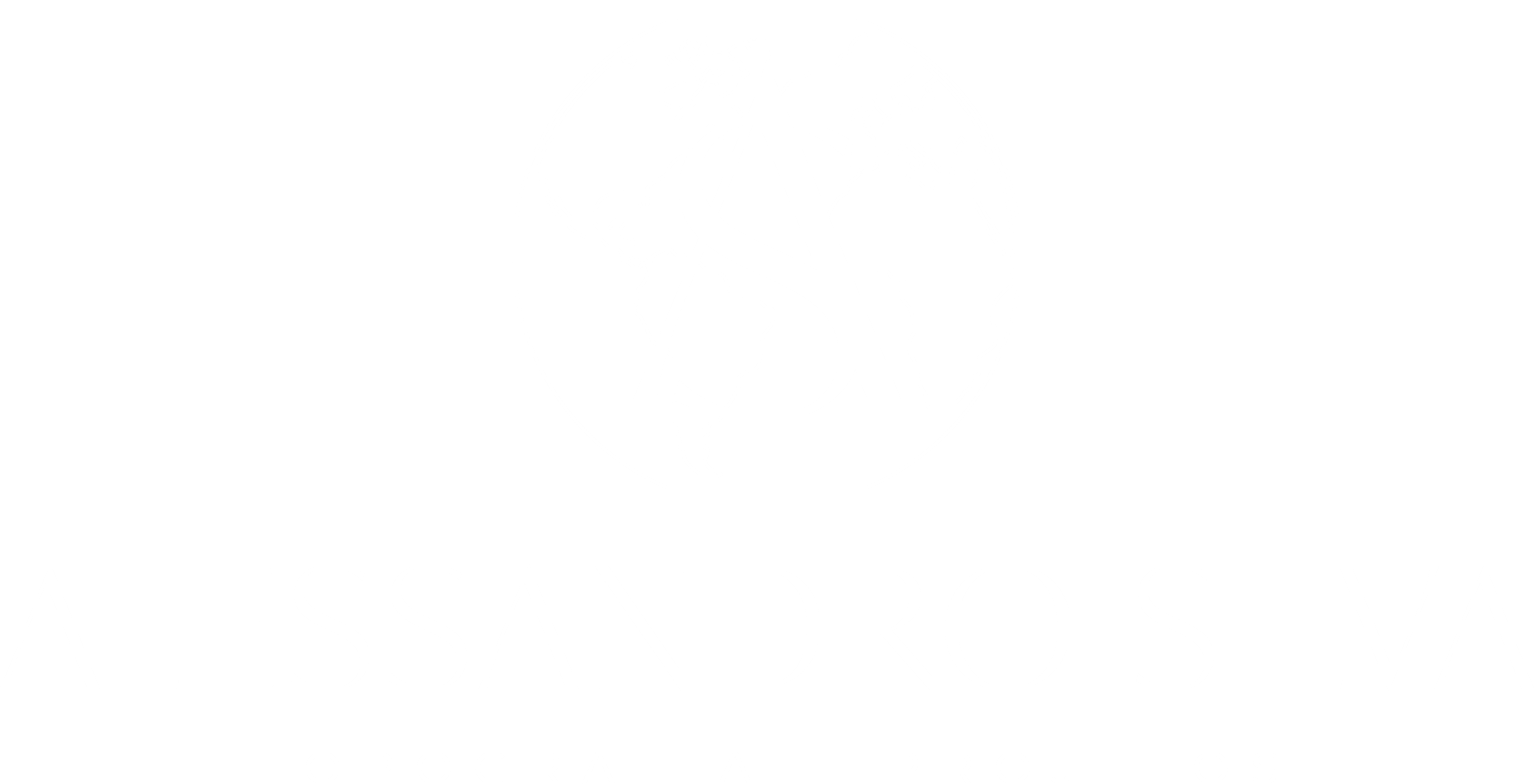Alessandro Silva - Topografia e Projetos